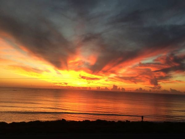 Palm Coast Home 989755