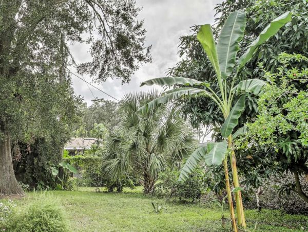 Orlando Home 989765