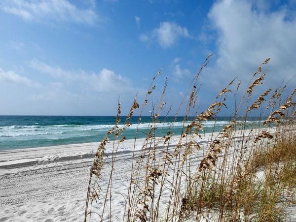 Gulf Front Perdido Beach Vacation Condo Three Bedrooms