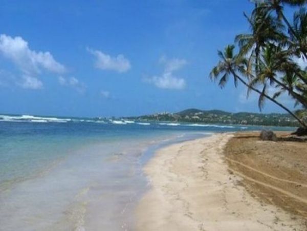 Puerto Rico Ocean View Condo with Communal Pool Sleeps Eight