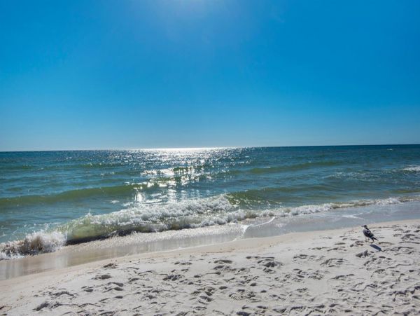 Seacrest Beach One Bedroom Condo Complex With Pool & Spa