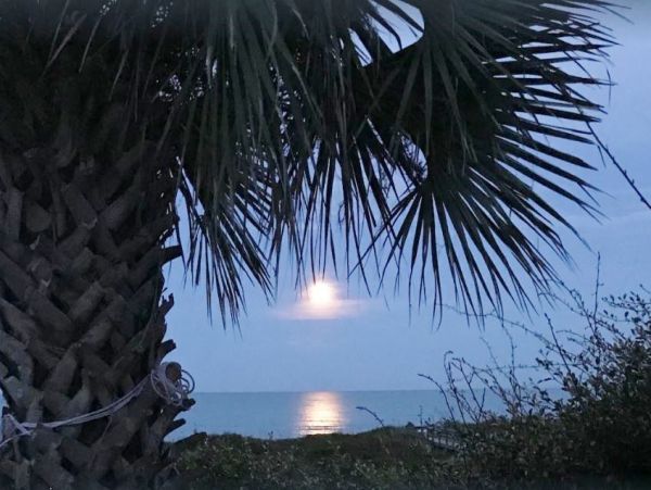 On Beach St. Augustine Vacation Home Private Pool Sleeps 15