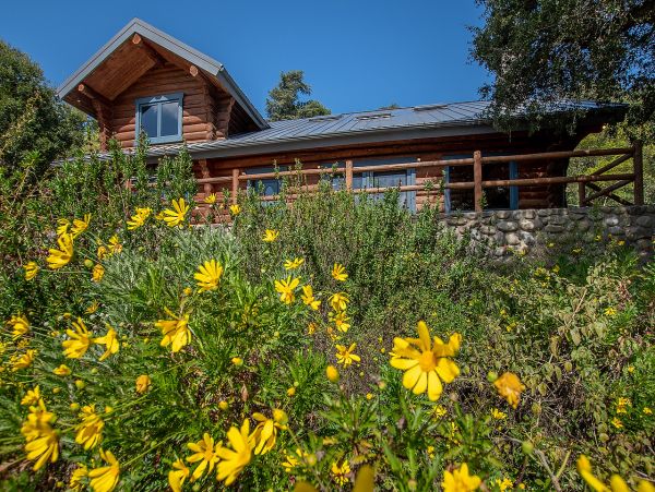 Great Private Log Cabin plus a Cottage with Wooden Spa