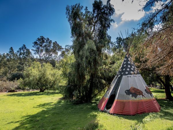 Great Private Log Cabin plus a Cottage with Wooden Spa