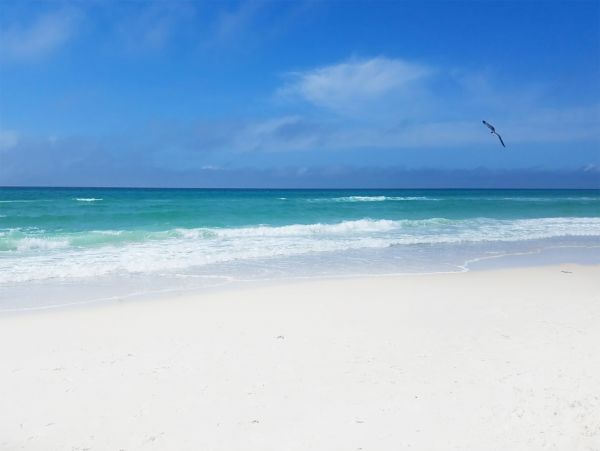 On Beach Panama City Vacation Condo Three Bedroom
