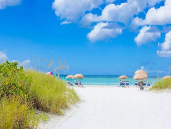 Short Walk to Beach Siesta Key Vacation Condo Six Bedroom