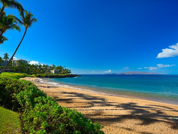 The Ultimate Residence on Maui