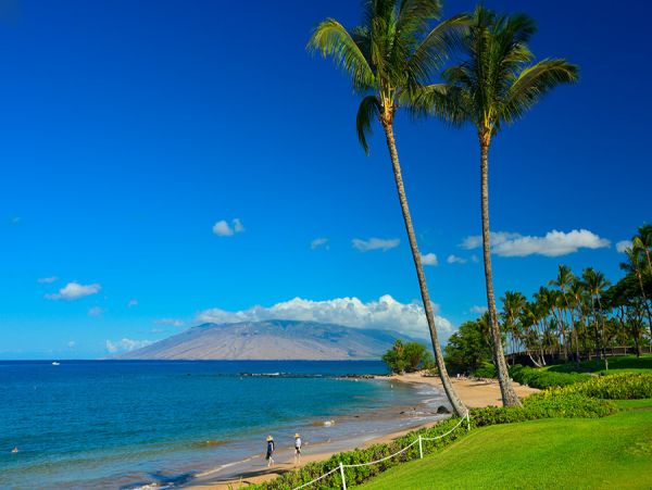 The Ultimate Residence on Maui