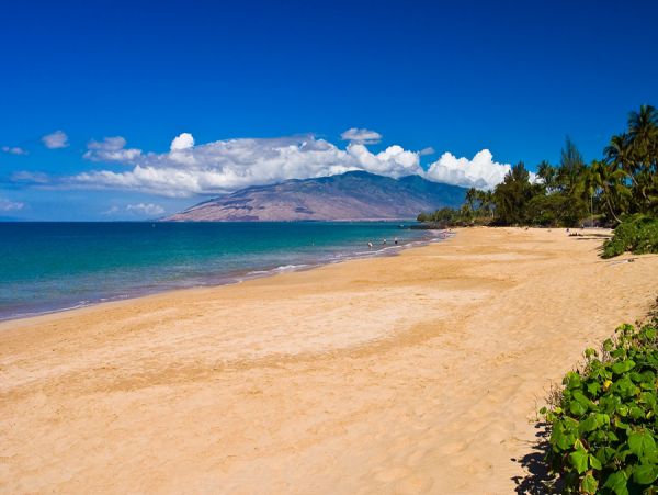 The Ultimate Residence on Maui