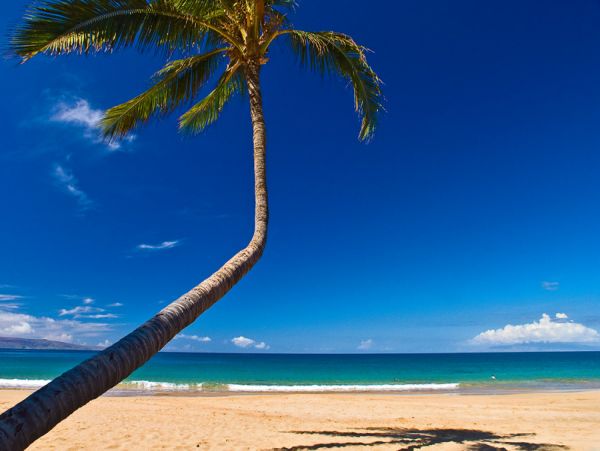 The Ultimate Residence on Maui