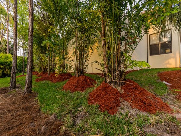 Naples Home 989895