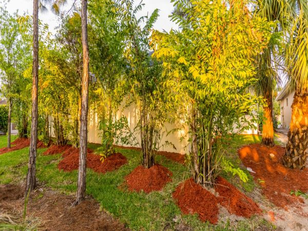 Naples Home 989895