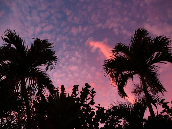 Short Walk to Beach West Palm Beach Vacation Condo