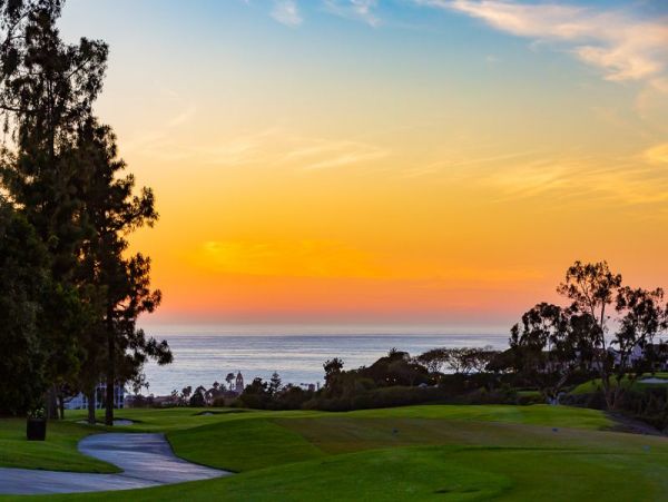 Pacific Ocean & Lush Emerald Views La Jolla Luxury