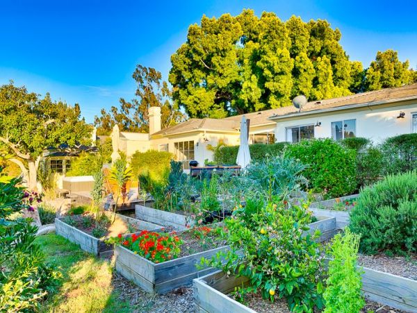 Pacific Ocean & Lush Emerald Views La Jolla Luxury