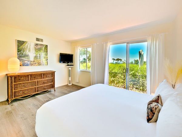 Pacific Ocean & Lush Emerald Views La Jolla Luxury