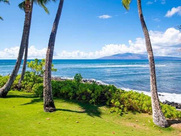 Short Walk to Beach Lahaina Vacation Condo One Bedroom