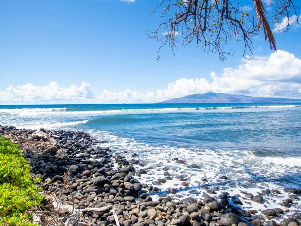 Short Walk to Beach Lahaina Vacation Condo One Bedroom
