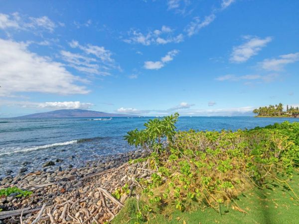Lahaina Ocean View Home Communal Pool & Tennis Court
