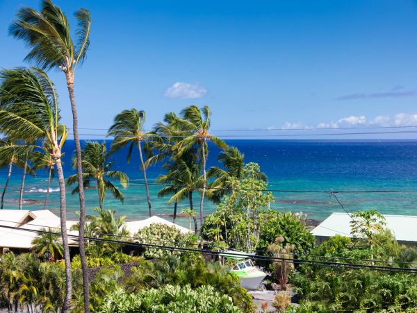 Kohala Coast Condo 989973