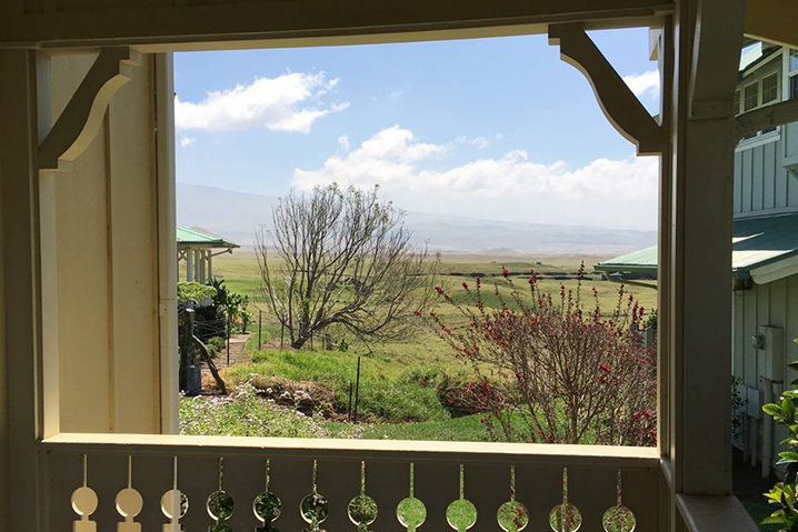 Kohala Coast Home 989974