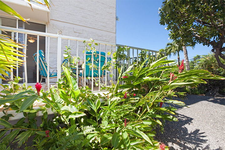Kohala Coast Condo 989976