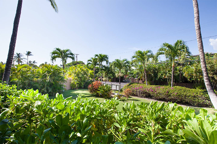 Kohala Coast Condo 989976
