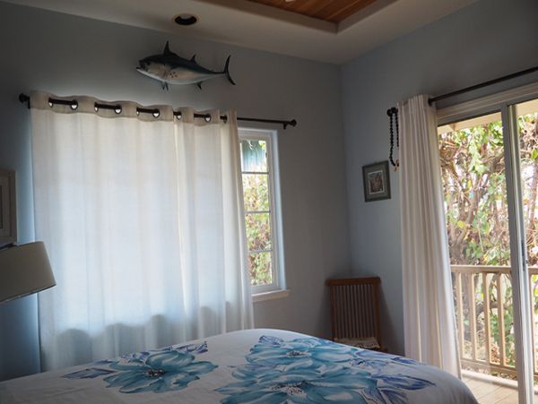Kohala Coast Home 989977