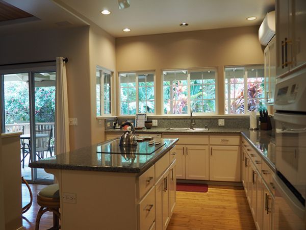 Kohala Coast Home 989977