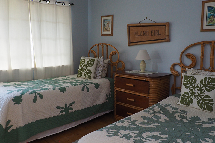 Kohala Coast Home 989977