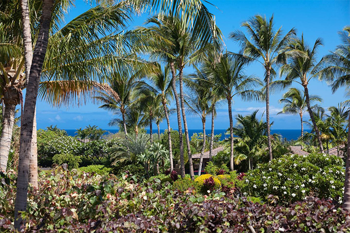 Kohala Coast Home 989978