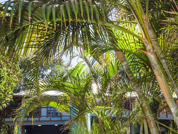 Kailua Kona Home 989979