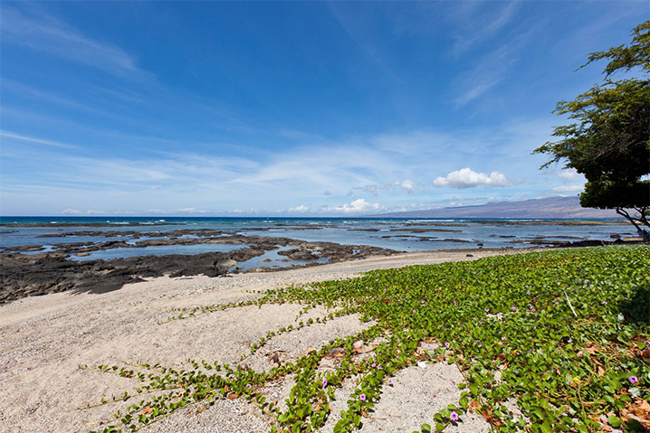 Kohala Coast Home 989981