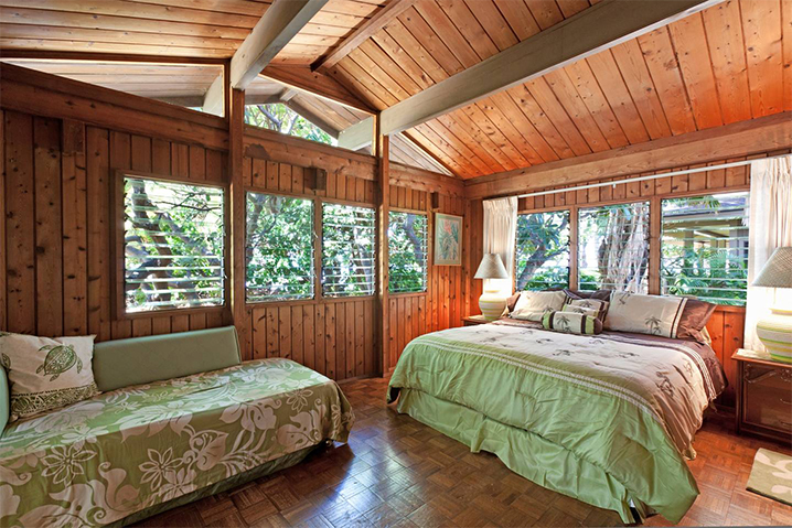 Kohala Coast Home 989981