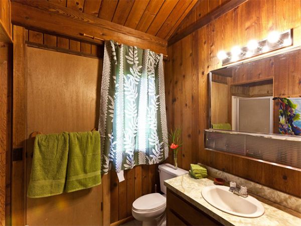 Kohala Coast Home 989981