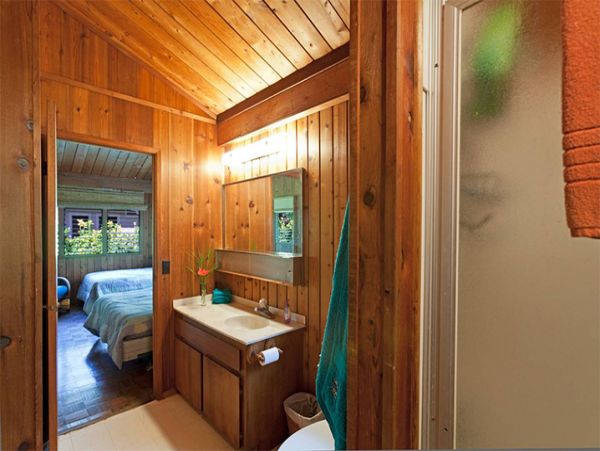 Kohala Coast Home 989981