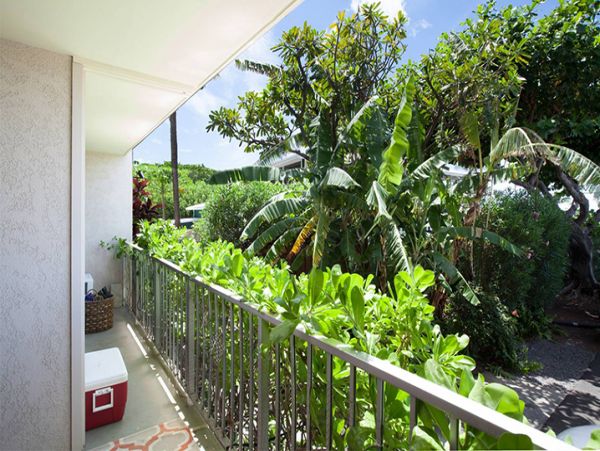 Kohala Coast Condo 989986