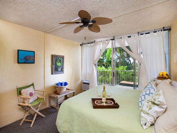 Kohala Coast Condo 989986
