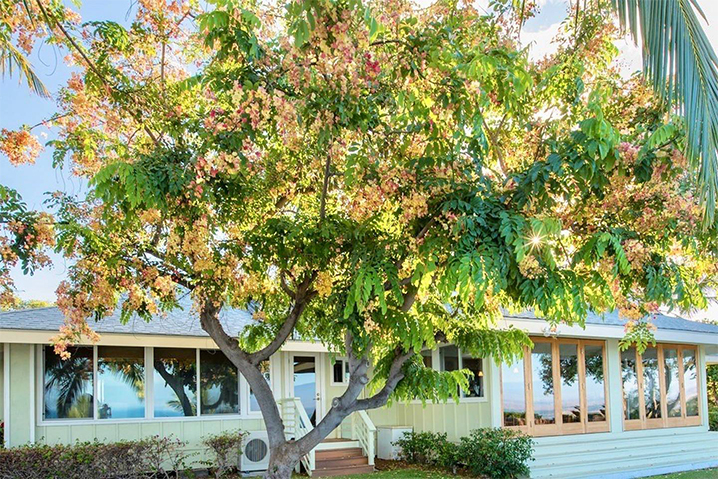 Kohala Coast Home 989987