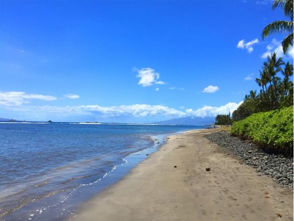 Lahaina Home 989996