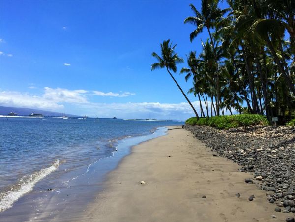 Lahaina Home 989996