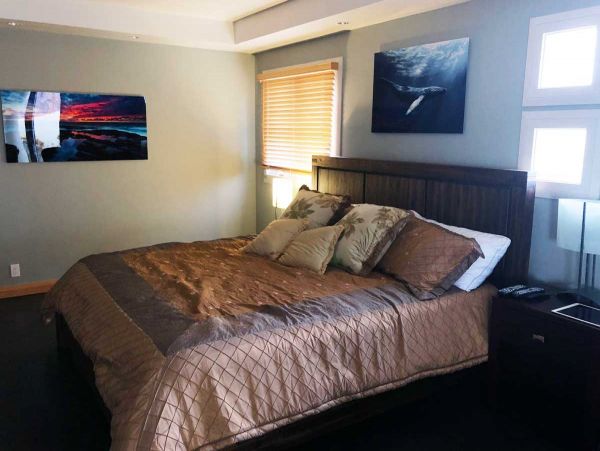 Kohala Coast Home 990004