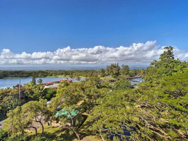 Hilo District Condo 990023