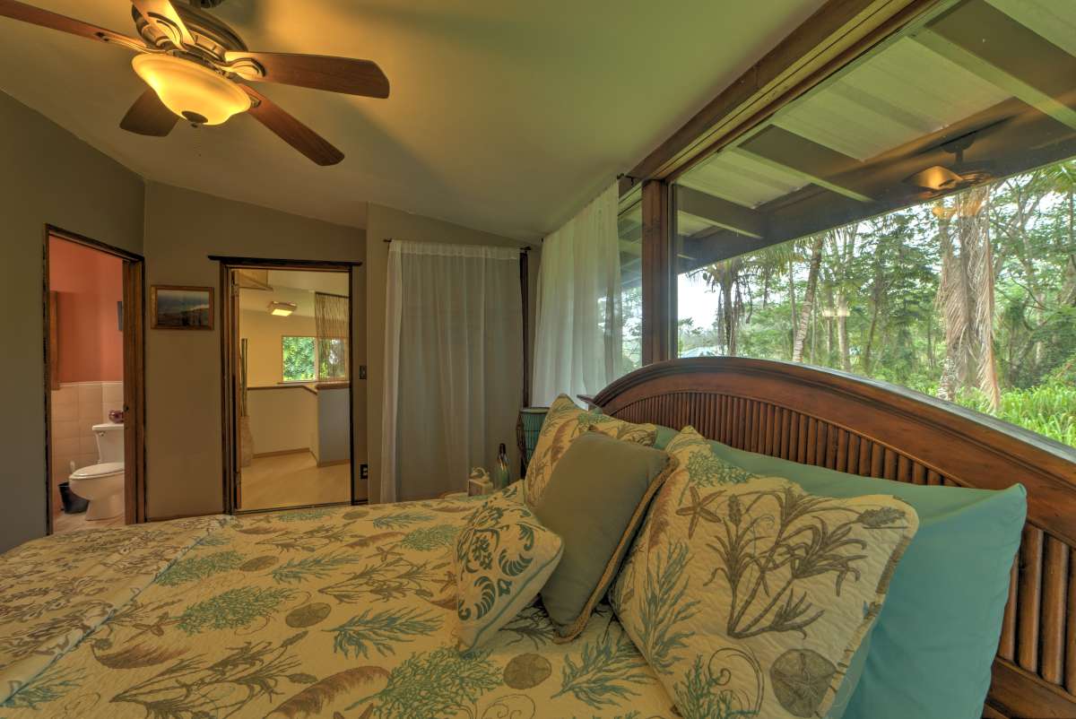 Hilo District Home 990026