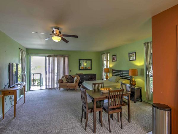 Kailua Kona Home 990054