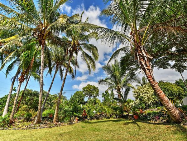 Kailua Kona Home 990064