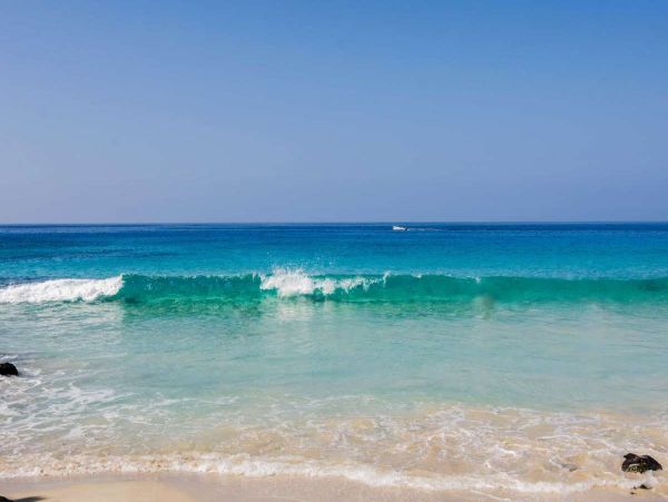 Kailua Kona Condo 990068
