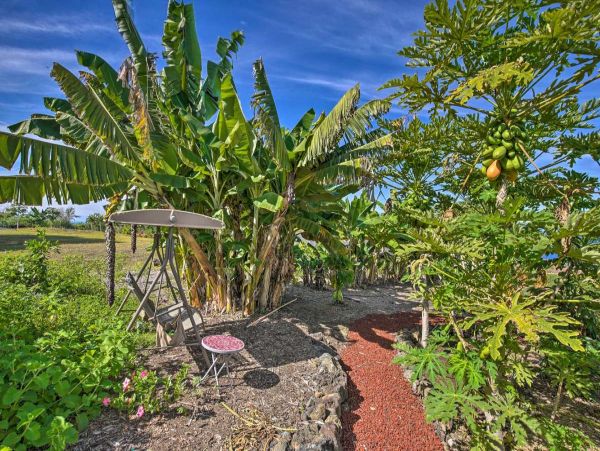 Kailua Kona Home 990069