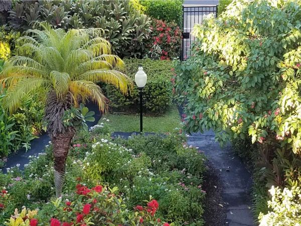 Kailua Kona Condo 990075