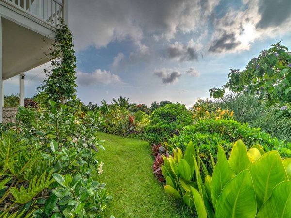Kailua Kona Home 990098